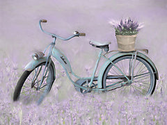 LD2290 - Bicycle in Lavender - 16x12