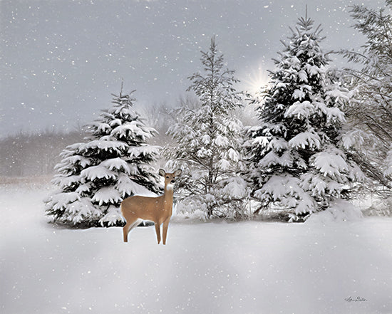 Lori Deiter LD2326 - LD2326 - New Fallen Snow - 16x12 Winter, Deer, Trees, Pine Trees, Snow, Nature, Photography from Penny Lane