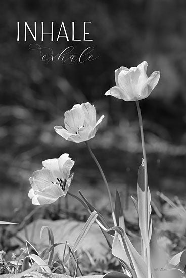 Lori Deiter LD2358 - LD2358 - Inhale, Exhale - 12x18 Inhale, Exhale, Flowers, Motivational, Photography, Black & White, Typography, Signs from Penny Lane