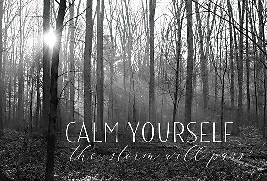 Lori Deiter LD2359 - LD2359 - Calm Yourself - 18x12 Calm Yourself, Storm will Pass, Black & White, Photography, Trees, Forest from Penny Lane