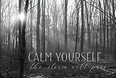 LD2359 - Calm Yourself - 18x12