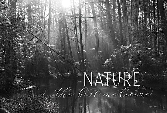 Lori Deiter LD2360 - LD2360 - Nature - The Best Medicine - 18x12 Nature, The Best Medicine, Black & White, Photography, Trees, Forest from Penny Lane
