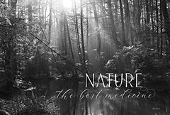 LD2360 - Nature - The Best Medicine - 18x12