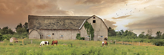 Lori Deiter LD2386A - LD2386A - Sunset Grazing - 36x12 Barn, Farm, Horses, Grazing, Sunset, Photography, Landscape, Nature from Penny Lane