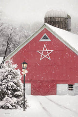 LD2396 - Red Star Barn - 12x18