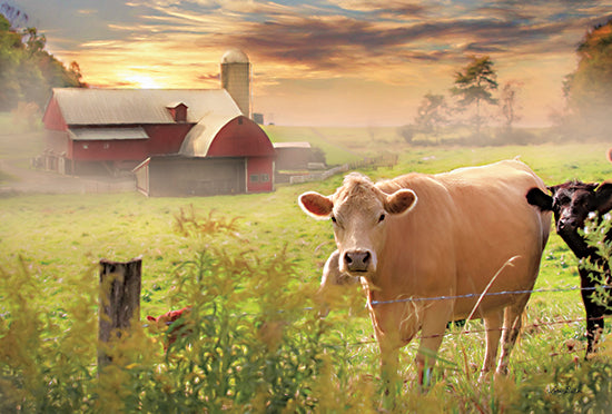 Lori Deiter LD2399 - LD2399 - Good Morning - 18x12 Farm, Barn, Cows, Morning, Photography from Penny Lane