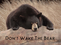 LD2400 - Don't Wake the Bear - 16x12