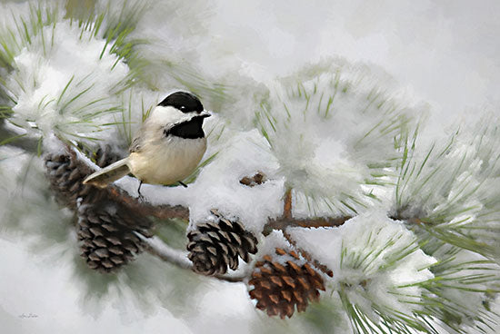 Lori Deiter LD2409 - LD2409 - Chickadee in Snow - 18x12 Chickadee, Snow, Pine Tree, Pine Cones, Winter, Photography from Penny Lane