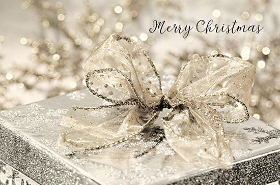Lori Deiter LD2420 - LD2420 - Christmas Gift - 18x12 Holidays, Christmas, Presents, Silver & Gold, Photography from Penny Lane