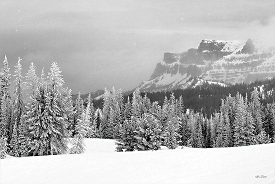 Lori Deiter LD2438 - LD2438 - Snowy Lava Mountain   - 18x12 Lava Mountain, Snow, Winter, Trees, Black & White, Mountains, Photography,  from Penny Lane