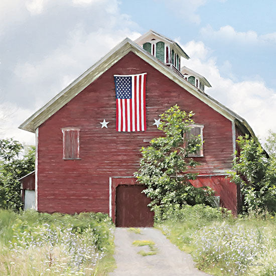 Lori Deiter LD2446 - LD2446 - Breath of Liberty - 12x12 Barn, Farm, Patriotic, Americana, American Flag, Photography from Penny Lane