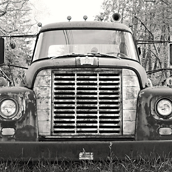 Lori Deiter LD2488 - LD2488 - Retired Truck II - 12x12 Truck, Rusty Truck, Photography, Vintage, Antique from Penny Lane