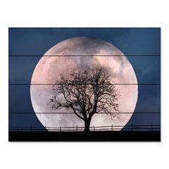 LD2506PAL - Glowing Moonrise - 16x12