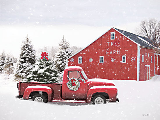 Lori Deiter LD2511 - LD2511 - Elton Tree Farm - 16x12 Barn, Farm, Christmas, Truck, Tree Farm, Wreaths, Snow, Winter, Photography from Penny Lane