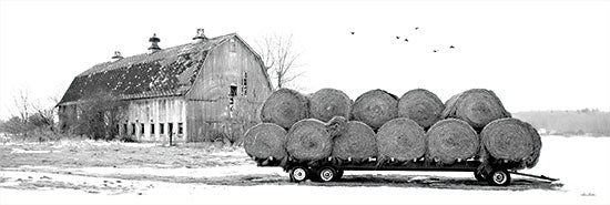 Lori Deiter LD2516A - LD2516A - Clayton Farm - 36x12 Farm, Barn, Hay, Haybales, Wagon, Hay Wagon, Black & White, Photography from Penny Lane