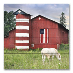 LD2517PAL - American Farm     - 12x12