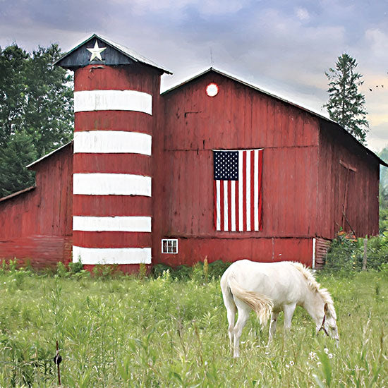 Lori Deiter LD2517 - LD2517 - American Farm     - 12x12 Independence Day, July 4th, Patriotic, Farm, Silo, Barn, American Flag, Red Barn, Horse, Photography from Penny Lane