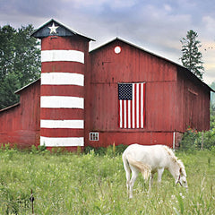 LD2517 - American Farm     - 12x12