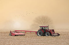 LD2523 - Foggy Morning in the Field - 18x12