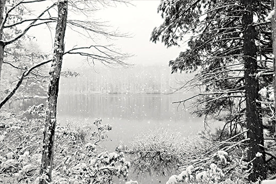 Lori Deiter LD2525 - LD2525 - Silence is Beautiful - 18x12 Photography, Landscape, Winter, Lake, Snow, Trees, Black & White from Penny Lane