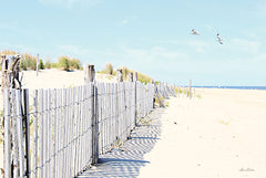 LD2528 - Dewey Beach Fences - 18x12