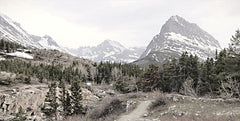 LD2535LIC - Glacier National Park - 0