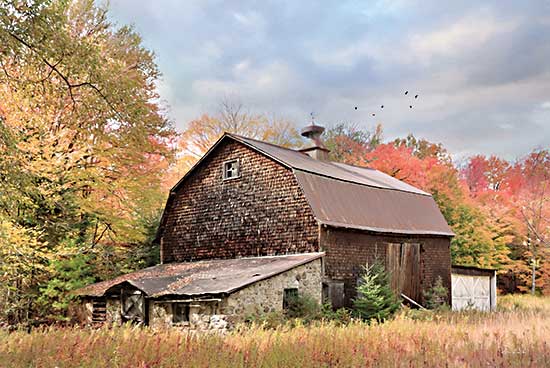 Lori Deiter LD2551 - LD2551 - Autumn Dance - 18x12 Barn, Farm, Fall, Autumn, Trees, Photography from Penny Lane