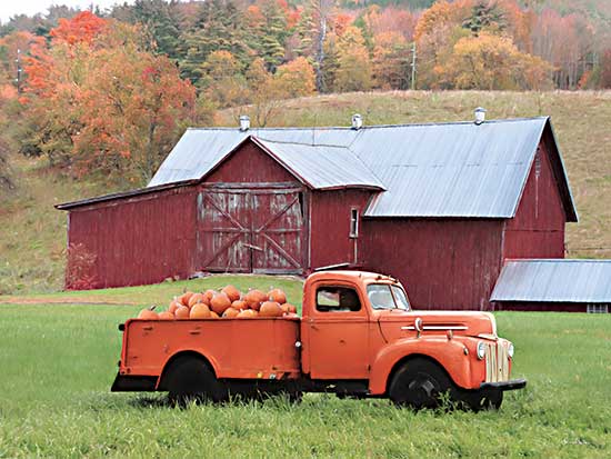 Lori Deiter LD2553 - LD2553 - Orange Pumpkin Truck - 16x12 Orange Pumpkin Truck, Truck, Pumpkins, Fall, Autumn, Farm, Barn, Pumpkin Farm, Photography from Penny Lane