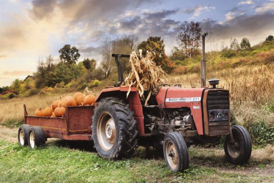 Lori Deiter Licensing LD2555LIC - LD2555LIC - Pumpkin Harvest - 0  from Penny Lane