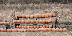 LD2566 - Pumpkin Picking - 18x9