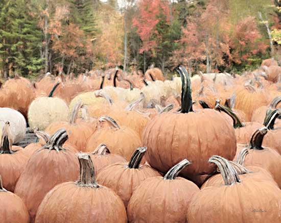 Lori Deiter LD2567 - LD2567 - The Perfect Pumpkin - 16x12 Pumpkins, Pumpkin Patch, Farm, Photography, Fall, Autumn from Penny Lane