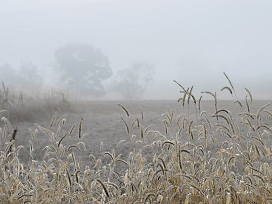 Lori Deiter LD2581 - LD2581 - Roadside Grass - 16x12 Photography, Weeds, Nature, Landscape from Penny Lane