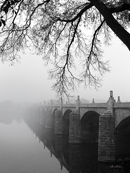 Lori Deiter LD2582 - LD2582 - Market Street - 12x18 Bridge, Trees, Photography, Lake, Fog, Landscape, Black & White from Penny Lane