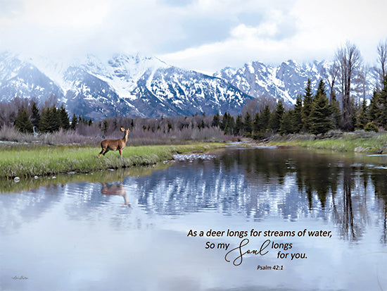 Lori Deiter LD2584 - LD2584 - My Soul Longs for You II - 16x12 Photography, Landscape, Lake, Deer, Religious, As a Deer Longs for Streams of Water, So My Soul Longs for You, Bible Verse, Psalm, Typography, Signs, Textual Art, Nature from Penny Lane