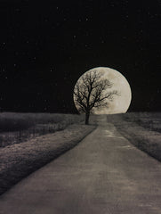 LD2588 - Moonlit Country Road - 12x16