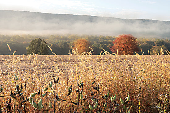 Lori Deiter LD2591 - LD2591 - Autumn Shades - 18x12 Wheat Field, Harvest, Autumn, Farm, Trees, Photography from Penny Lane