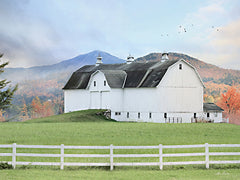 LD2609 - Adirondack Farm - 16x12