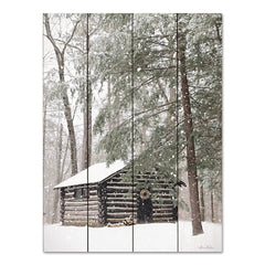 LD2610PAL - Cabin Fever - 12x16