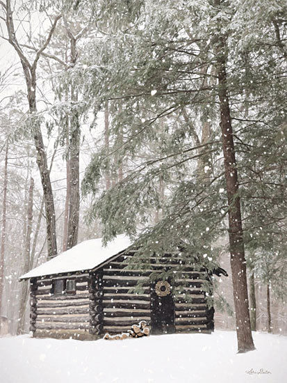 Lori Deiter LD2610 - LD2610 - Cabin Fever - 12x16 Photography, Log Cabin, Winter, Snow, Trees, Camping, Landscape, Rustic from Penny Lane