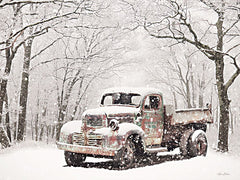 LD2627 - Christmas Tree Truck - 16x12
