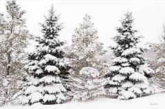 LD2634 - Snowy Pine Trees      - 18x12