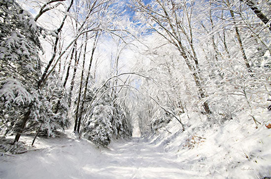 Lori Deiter LD2637 - LD2637 - Winter Storm    - 18x12 Winter, Snow, Trees, Road, Photography, Landscape from Penny Lane