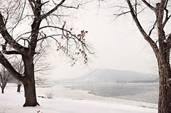 LD2638 - Snowy Susquehanna   - 18x12