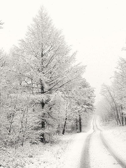 Lori Deiter LD2645 - LD2645 - Berry Mountain Road    - 12x16 Berry Mountain, Road, Massachusetts, Winter, Snow, Photography, Landscape from Penny Lane