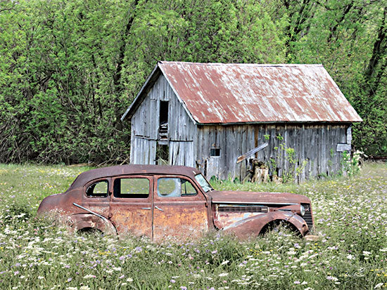 Lori Deiter LD2669 - LD2669 - Old and Rustic - 16x12 Truck, Rusty Truck, Shed, Deserted, Field, Photography from Penny Lane