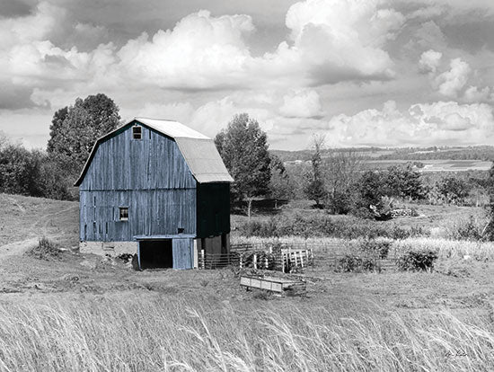 Lori Deiter LD2672 - LD2672 - Blue Barn I - 16x12 Blue Barn, Barn, Farm, Black & White, Photography, Landscape, Wheat from Penny Lane