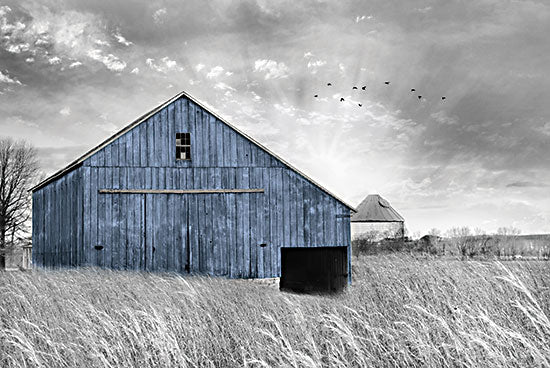 Lori Deiter LD2674 - LD2674 - Blue Barn III - 18x12 Blue Barn, Barn, Farm, Black & White, Photography, Landscape, Wheat from Penny Lane