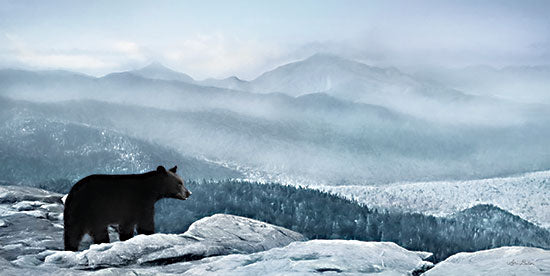 Lori Deiter LD2681 - LD2681 - Cascade Mountain Bear - 18x9 Cascade Mountains, North America, Mountain Range, Bears, Winter, Snow, Mountains, Photography from Penny Lane