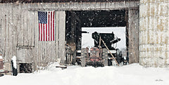LD2713 - Winter at Patriotic Barn - 18x9