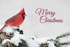 LD2714 - Merry Christmas Cardinal - 18x12